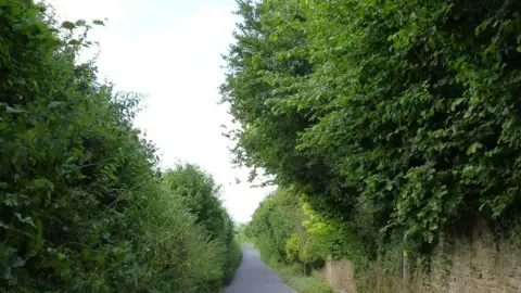 BBC Hedges