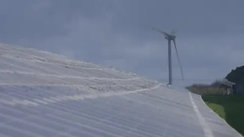 Solar panels and wind turbine