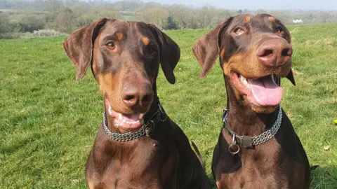 Becks McIver Ruby and Rambo