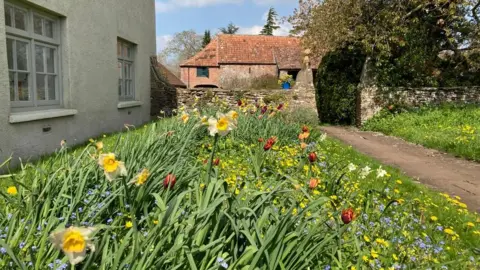 Views of the garden