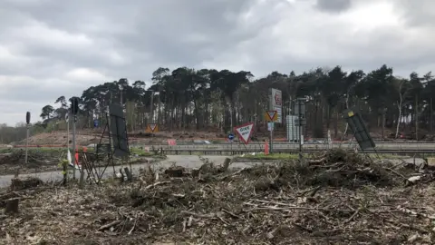 BBC Trees felled for motorway widening in Surrey