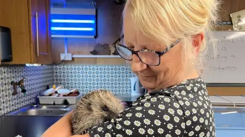 Prickly Prickles Hedgehog Rescue Pea and Ms Legg