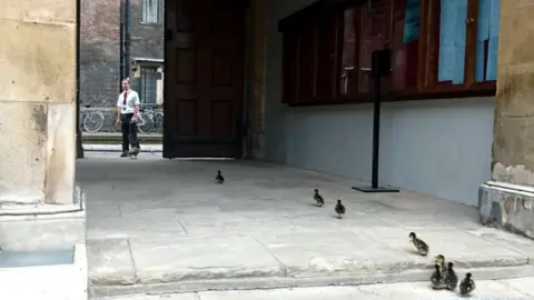 St Catharine's College Head porter Dave Dove with ducks