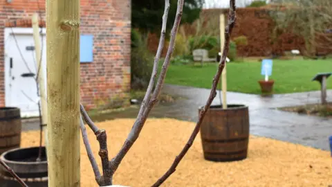 Jane Austen's House Museum Casandra's orchard