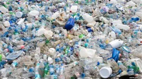 Agathe Bernard Plastic