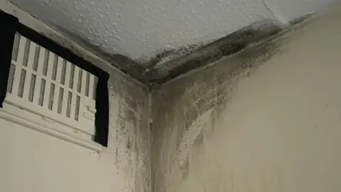 Mould in the corner of a room