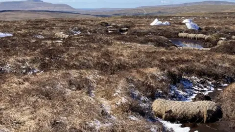 Yorkshire Dales National Park Fleet Moss