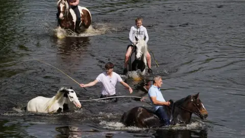 PA Media Four horses being washed in Rover Eden