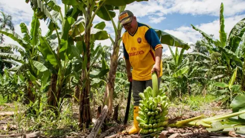 Jesús Antonio Toro Martínez