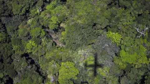 Getty Images An aerial view of a rainforest