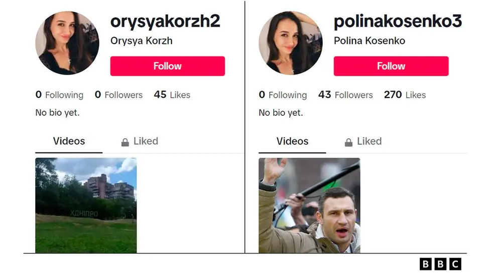 BBC/TikTok Screenshot of two TikTok accounts using the same profile photo