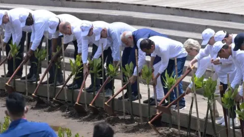 Reuters President Joko Widodo with the G20 head of states and international organisation leaders plant mangrove in a series of the G20 Summit activities at Ngurah Rai Forest Park (Tahura), Denpasar, Bali, Indonesia, November 16, 2022.