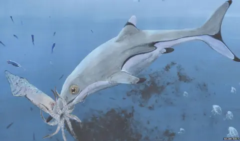 Julian Kiely What the ichthyosaur might have looked like