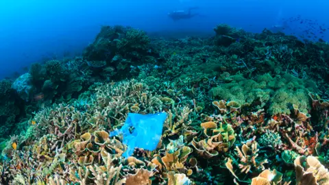 Getty Images Plastic bag