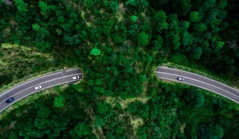 Getty Images A road with a wildlife corridor of forest allowing wildlife to cross safely