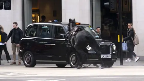 PA Media A black horse seen trying to dodge a black taxi in London