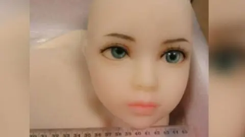 Ex-Newcastle University pro-vice-chancellor sentenced over 'child' sex doll