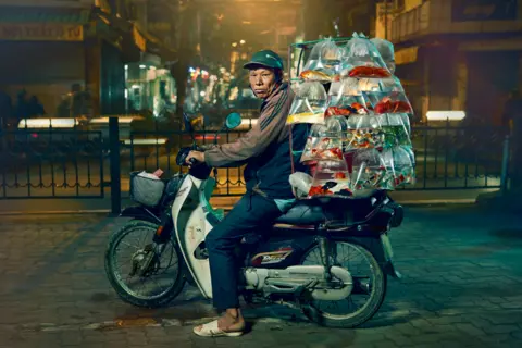 Ban on motorcycle back riding sales