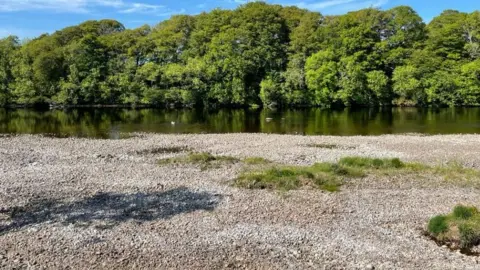 Claire McKenzie River Ness