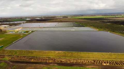 Shaun Whitmore/BBC Green House Growers plant, Ely