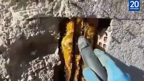 20 minutos A suction device hoovering the bees