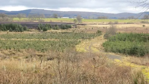 Richard Webb Lochwood Moss