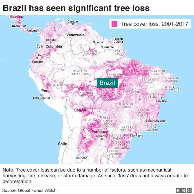 Map shows tree loss between 2001 and 2017 in South America