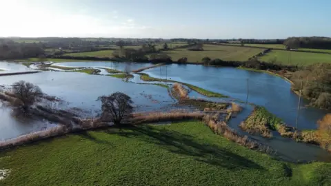 Shaun Whitmore/BBC Flooded farmland at the Euston Estate