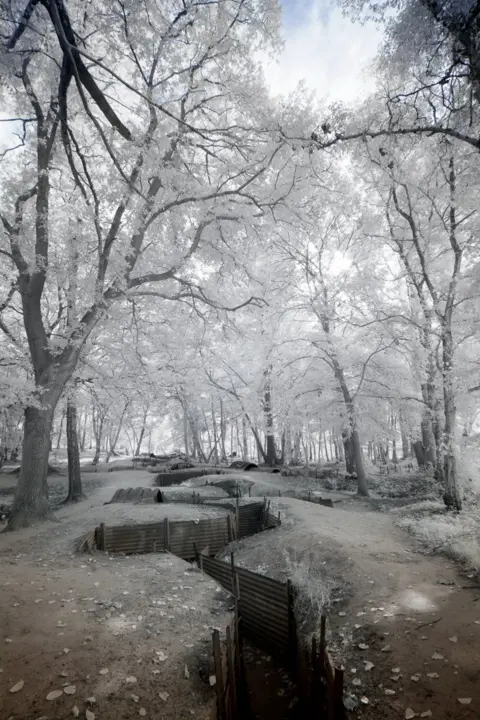 Jonathan Beamish Sanctuary Wood