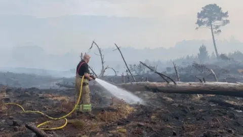 Dorset & Wiltshire Fire Service Wareham Forest Fire