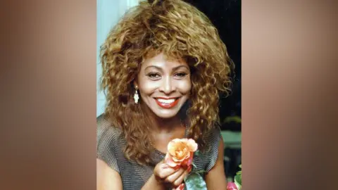 North News and Pictures Tina Turner with a rose