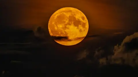 Gazzer Blue super moon Cowley Oxfordshire