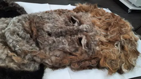 Davinia Fox Hair mural