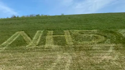 Birmingham Airport NHS logo cut into grass at Birmingham Airport