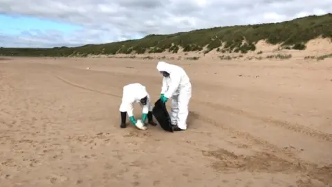 Aberdeenshire Council Dead bird collection in Aberdeenshire