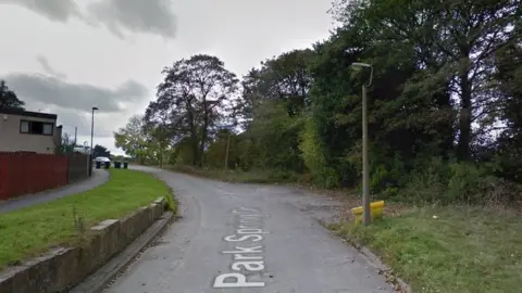 Google Park Spring Drive