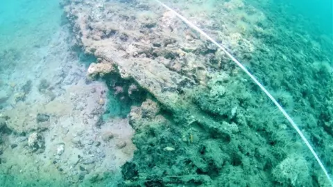 Maritime Archeology Trust Underwater view