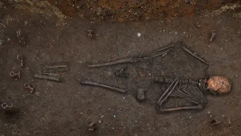 University of Cambridge Archaeological Unit Skeleton of 7th Century Anglo-Saxon woman, Trumpington