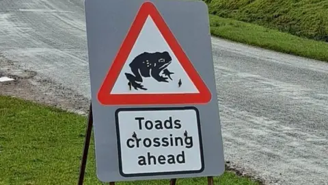 Cumberland Council Toads crossing ahead sign