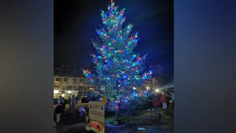 Julie Ridley the Christmas tree on display in the village before the lights were stolen