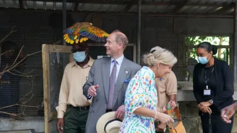 PA Media The Earl and the Countess of Wessex with St Vincent"s national bird, the Amazona guildingii after it nearly knocked her sunglasses at the Botanical Gardens in St Vincent and the Grenadines