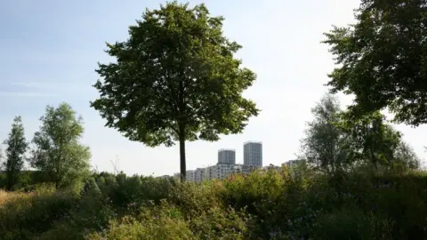 Getty Images green space