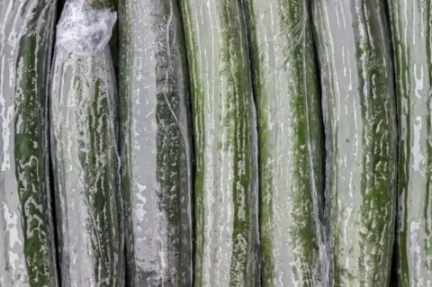 Getty Images Shrink-wrapped cucumber