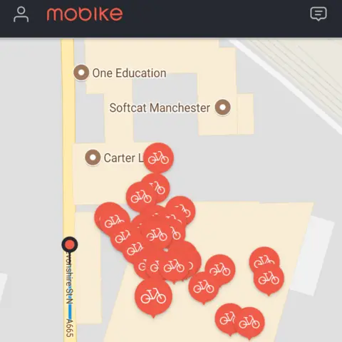 Mobikes on the app