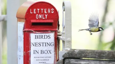 PETER JOLLY NORTHPIX Great tit