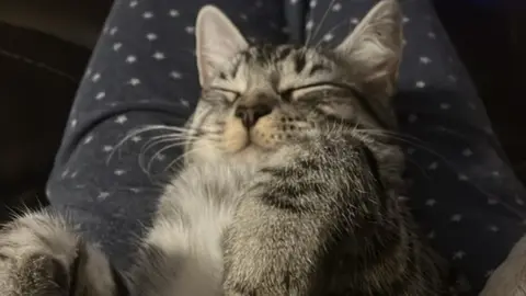 Emma Hunt Loki the cat