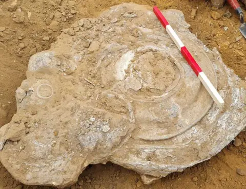 Norfolk Museum Service The Euston hoard before it was lifted