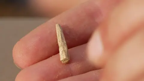 BBC/Kevin Church Peg from medieval graveyard