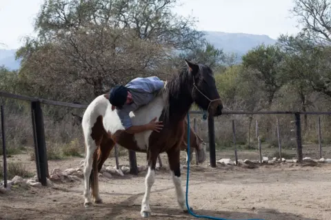 Erica Canepa Cristobal (Oscar's oldest son) in the farmyard with a horse