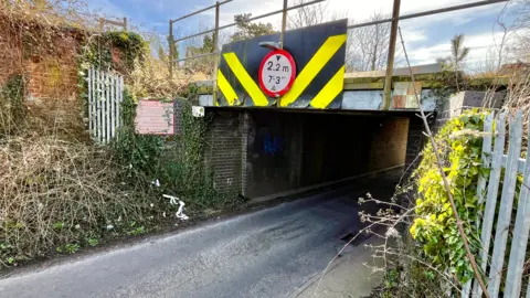 The entrance to the underneath of the Abbey Farm railway bridge. It is flanked by fauns and bushes and metal fencing. 
